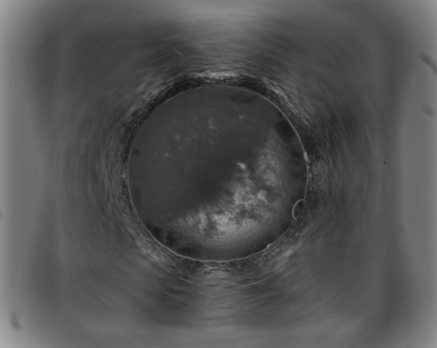 X0000097670913200803071551