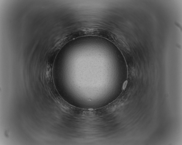 X0000097670914200803071551