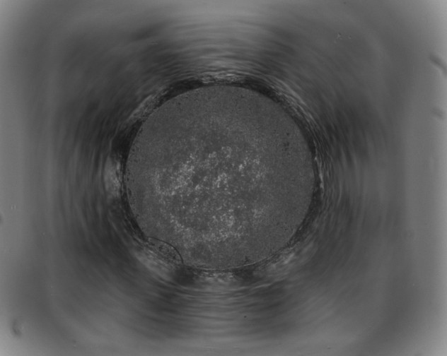 X0000097670915200803071551