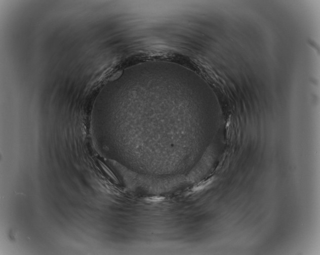 X0000097670916200803071552