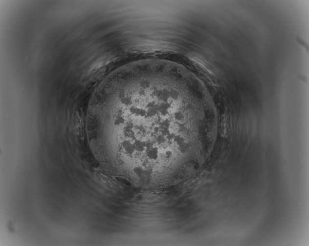 X0000097670917200803071552