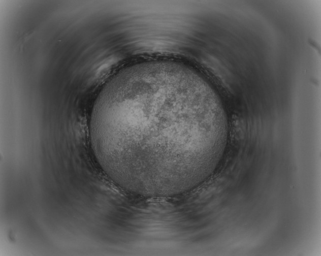 X0000097670918200803071552