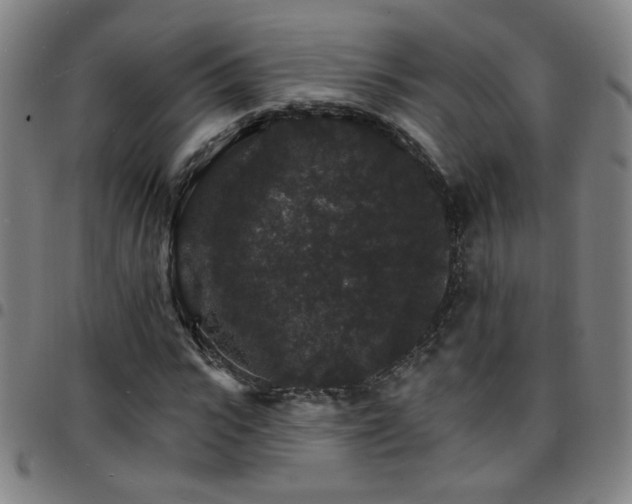 X0000097670919200803071552