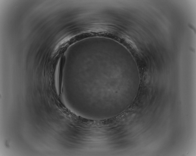 X0000097670920200803071552