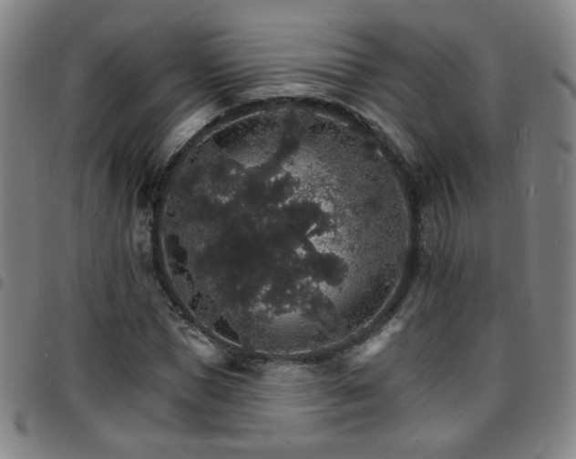 X0000097670921200803071552