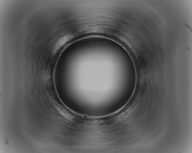X0000097670922200803071552