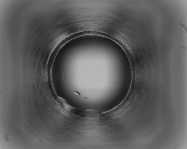X0000097670924200803071552