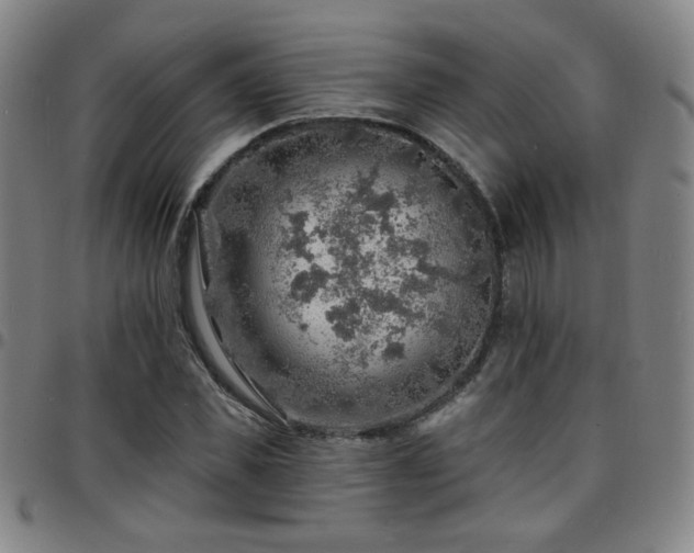 X0000097670925200803071552