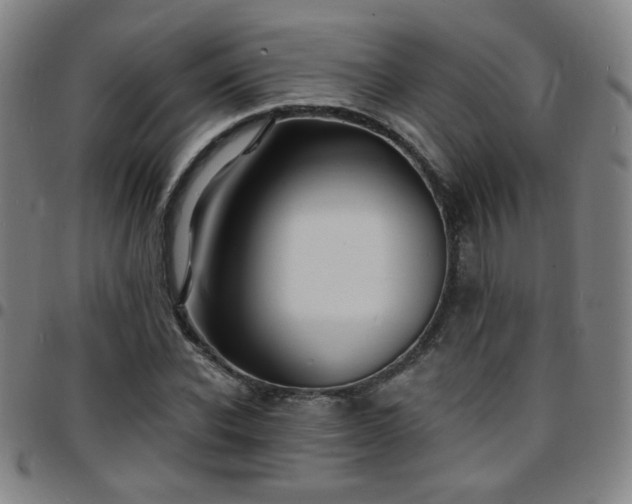 X0000097670926200803071552
