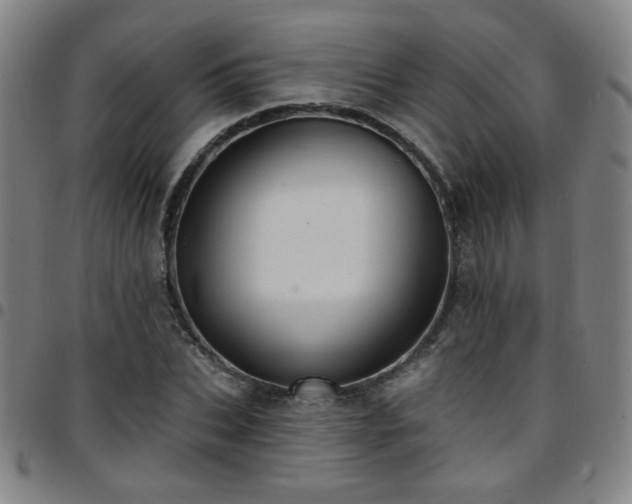 X0000097670927200803071552