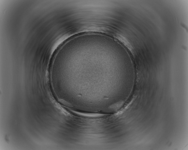 X0000097670928200803071552