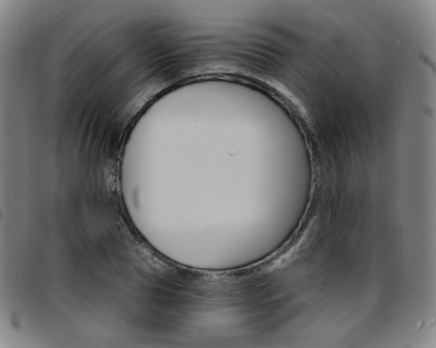 X0000097670929200803071552