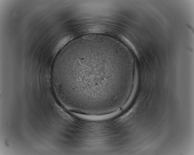 X0000097670930200803071552