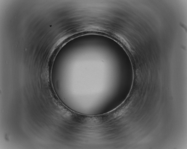 X0000097670931200803071552