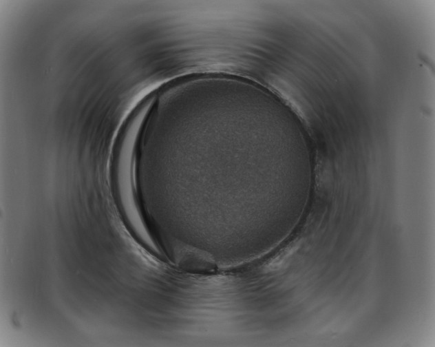 X0000097670932200803071552