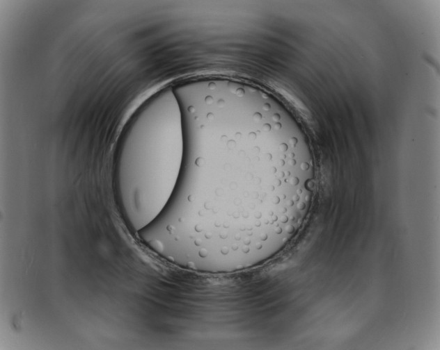 X0000097670933200803071552