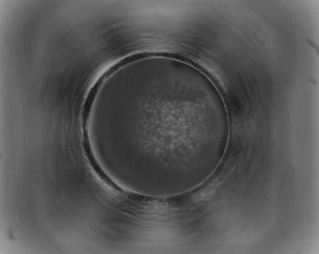 X0000097670935200803071552
