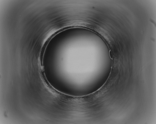 X0000097670936200803071552