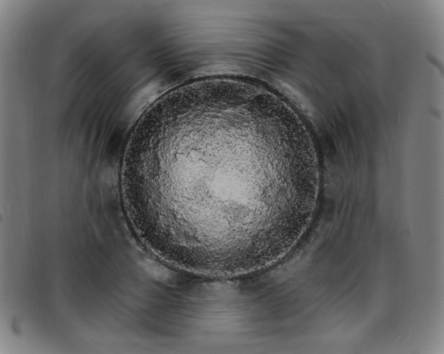 X0000097670937200803071552