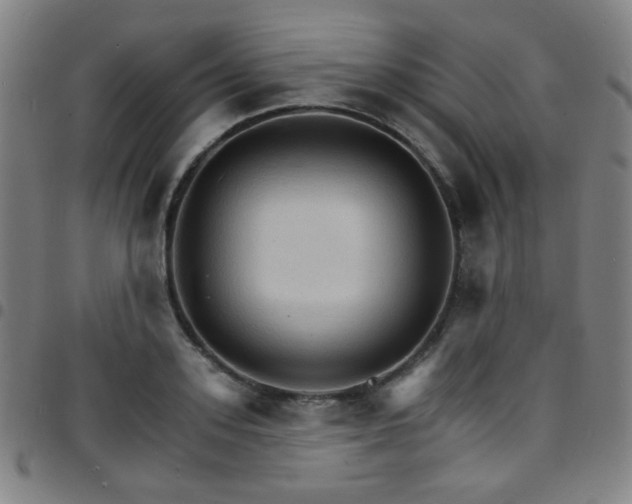 X0000097670939200803071552
