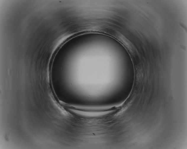 X0000097670940200803071552