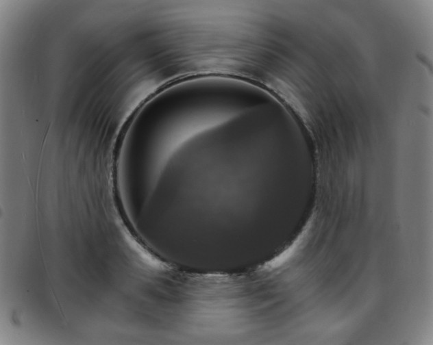 X0000097670941200803071552