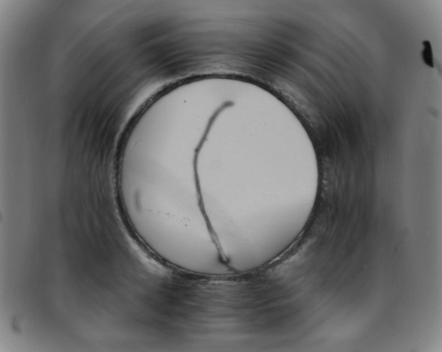 X0000097670942200803071552
