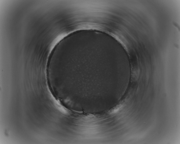 X0000097670943200803071552