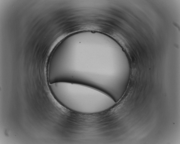 X0000097670947200803071552