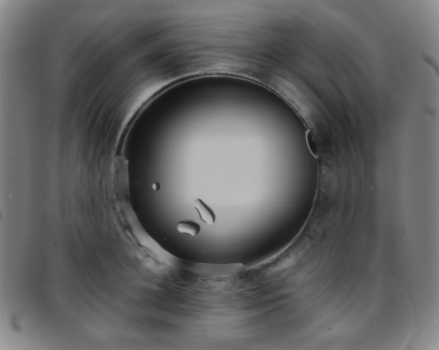 X0000097670948200803071552