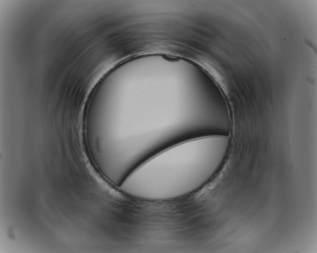 X0000097670949200803071552