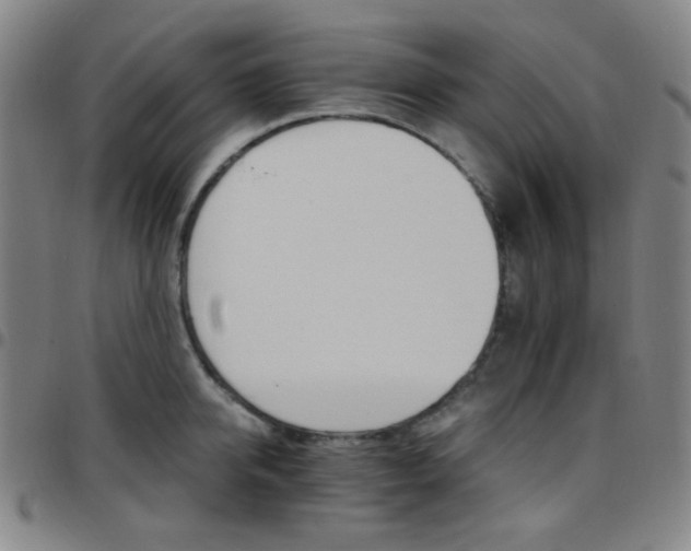 X0000097670950200803071552