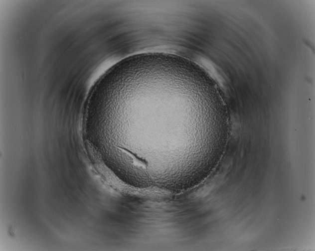 X0000097670952200803071552
