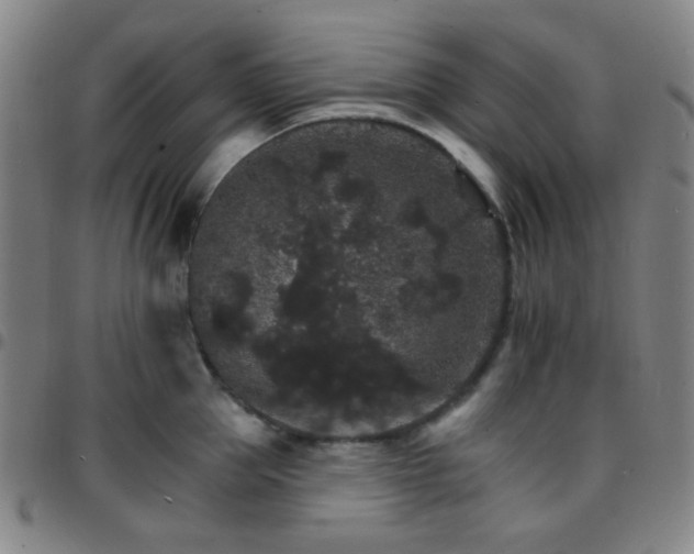X0000097670953200803071552