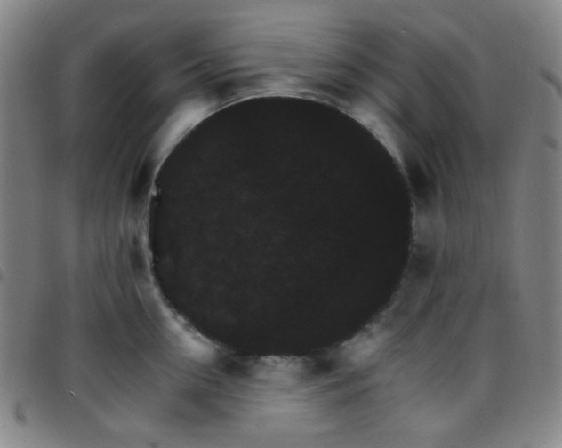 X0000097670954200803071552