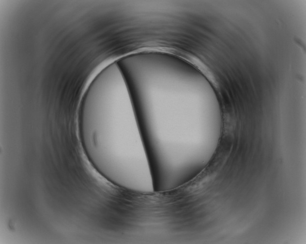 X0000097670955200803071552