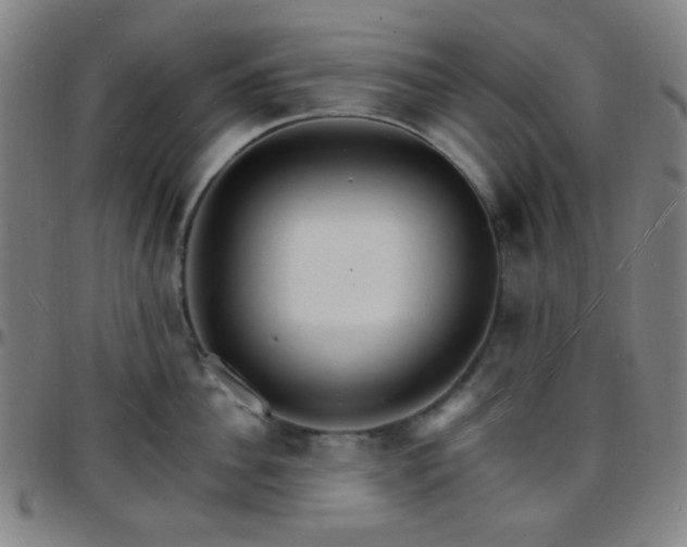 X0000097670956200803071552