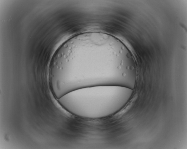 X0000097670957200803071552