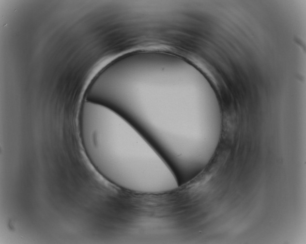 X0000097670959200803071552