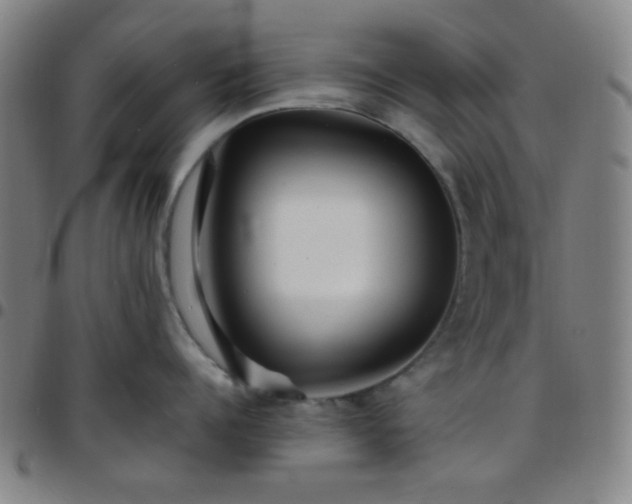 X0000097670960200803071552
