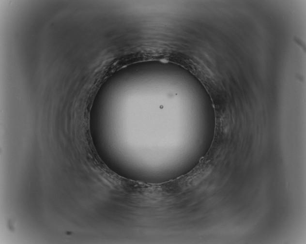X0000097670961200803071551