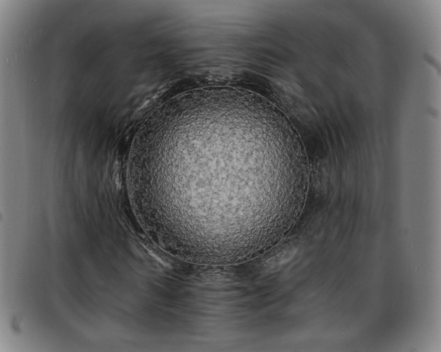 X0000097670962200803071551