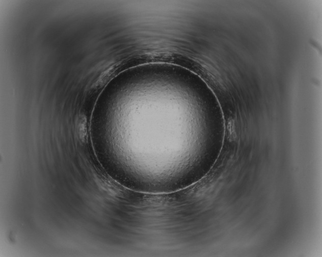X0000097670963200803071551