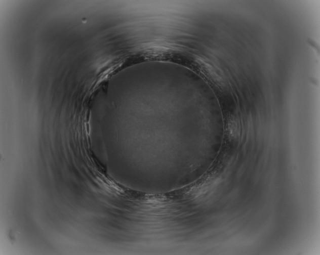 X0000097670964200803071551