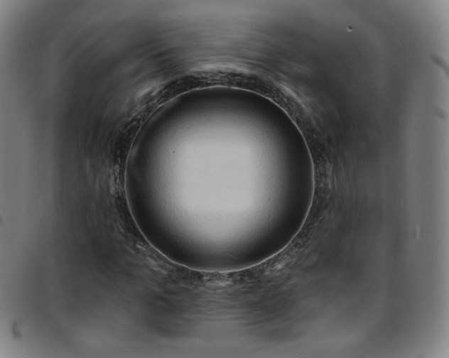 X0000097670965200803071551