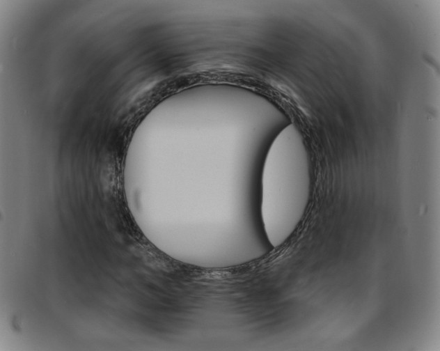 X0000097670966200803071551
