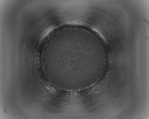 X0000097670968200803071551