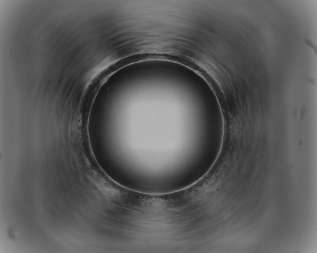 X0000097670971200803071551