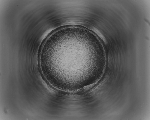 X0000097670972200803071551