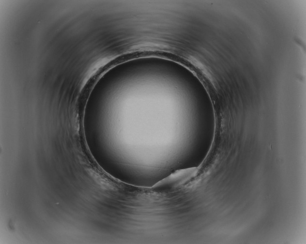 X0000097670973200803071551